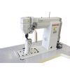 CS 8810